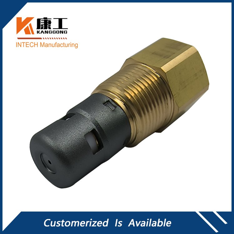 In-Tank Check Valve