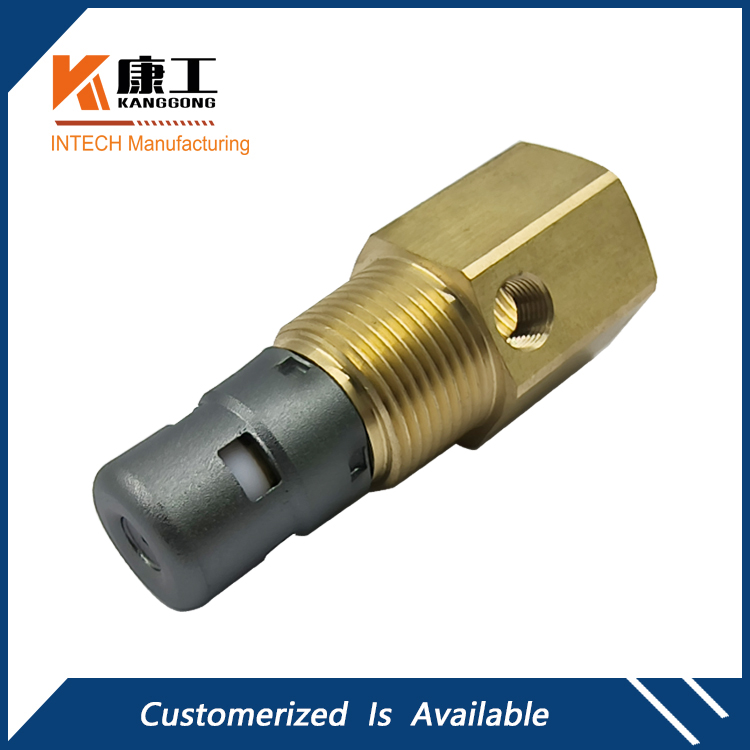 In-Tank Check Valve with 1/8 Unloader Port